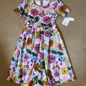 NWT LuLaRoe Amelia fit and flare dress